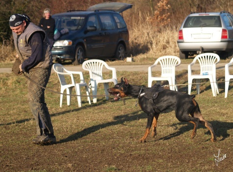 The christmas training 27.12.2006